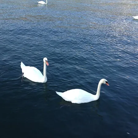 Waldstrand Berger Vakantiehuis *