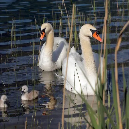Waldstrand Berger * Seeboden am Millstätter See