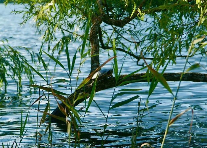 Waldstrand Berger Сasa de vacaciones *