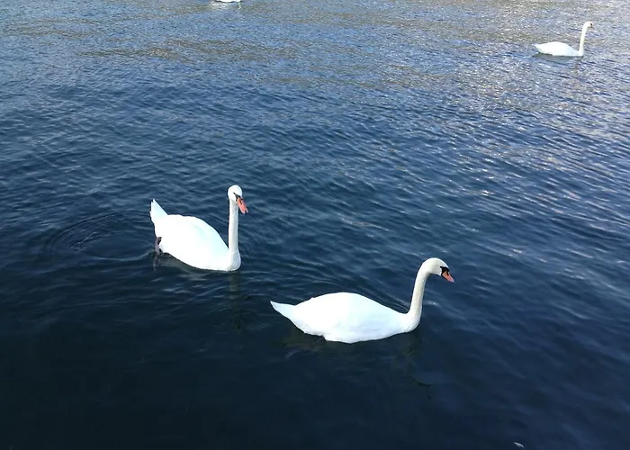 Waldstrand Berger Feriehus *