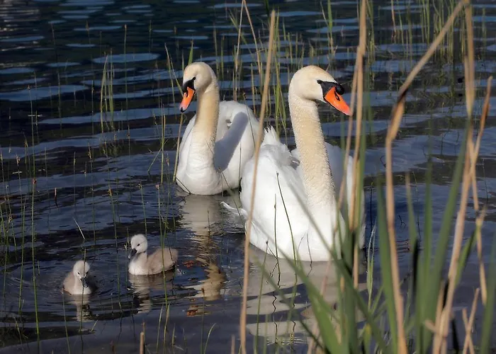 Waldstrand Berger * Seeboden